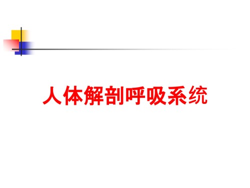 人体解剖呼吸系统.ppt