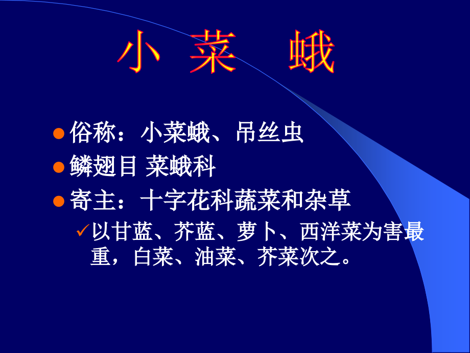 小菜蛾和其综合防治.pptx_第1页