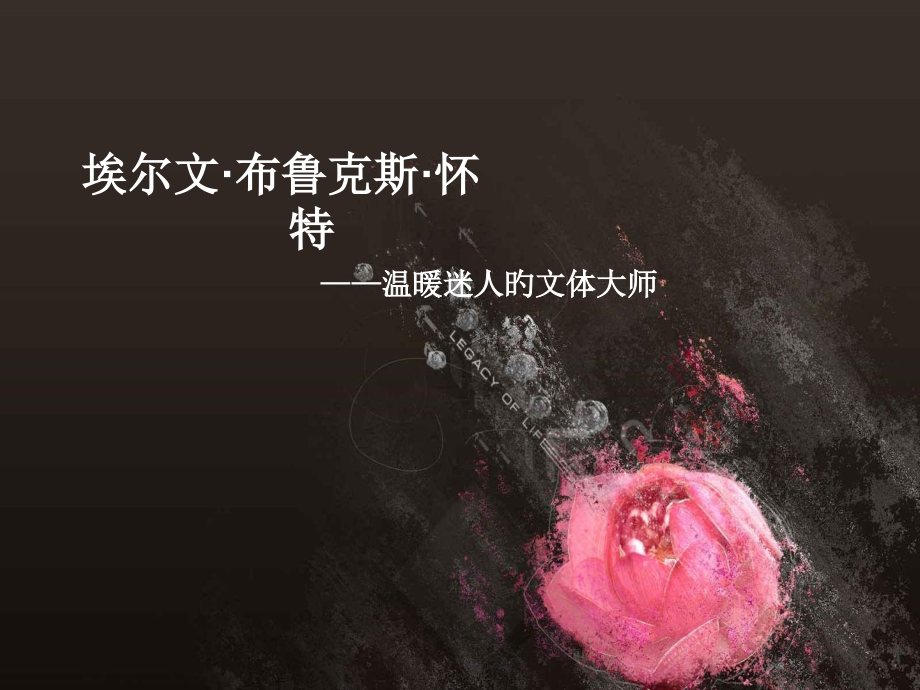 EB怀特简介.pptx_第1页