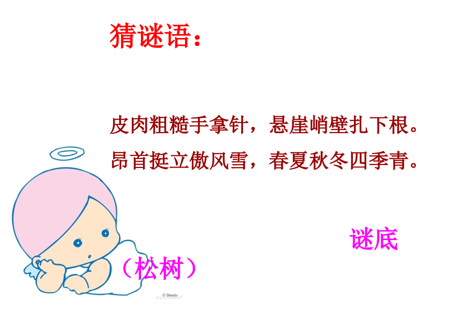 《8.小松树和大松树》.PPT第一课时.pptx_第1页