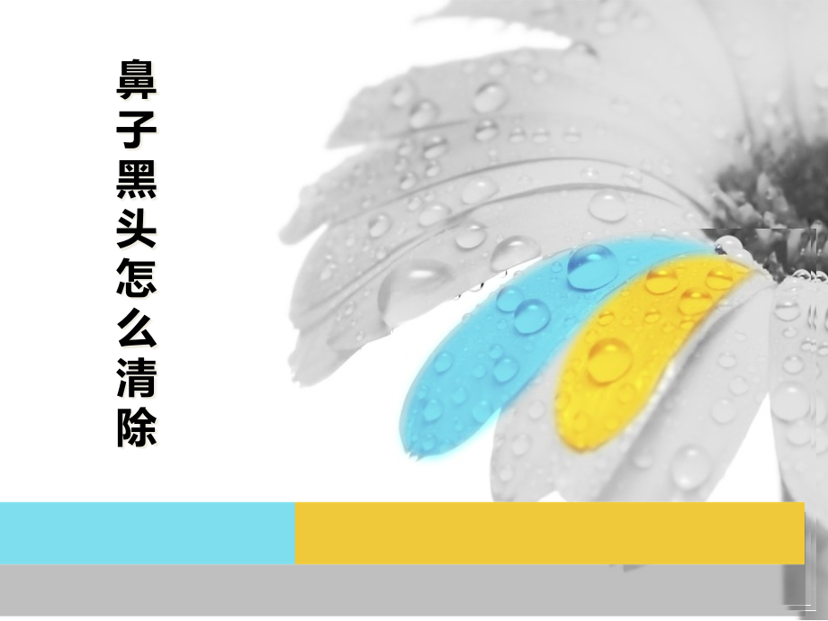 鼻子黑头怎么去除.pptx_第1页