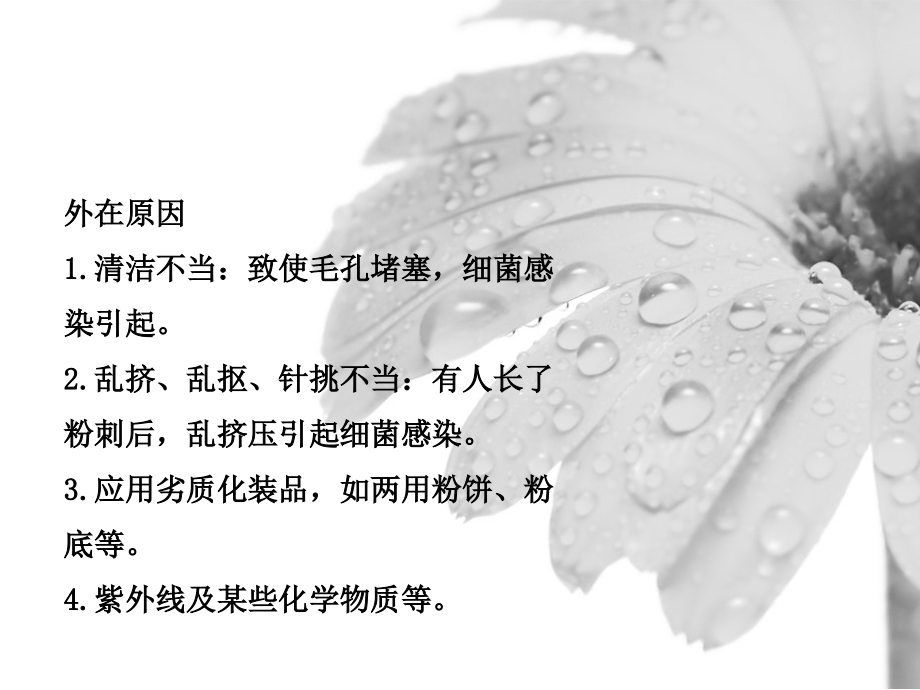 鼻子黑头怎么去除.pptx_第2页