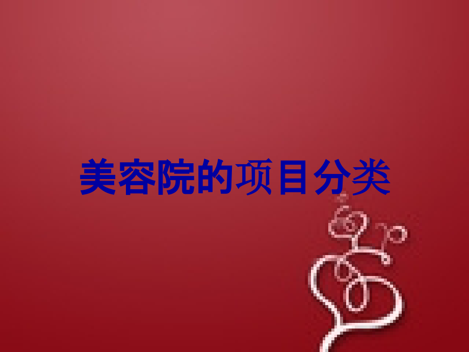 美容院的项目分类.ppt_第1页