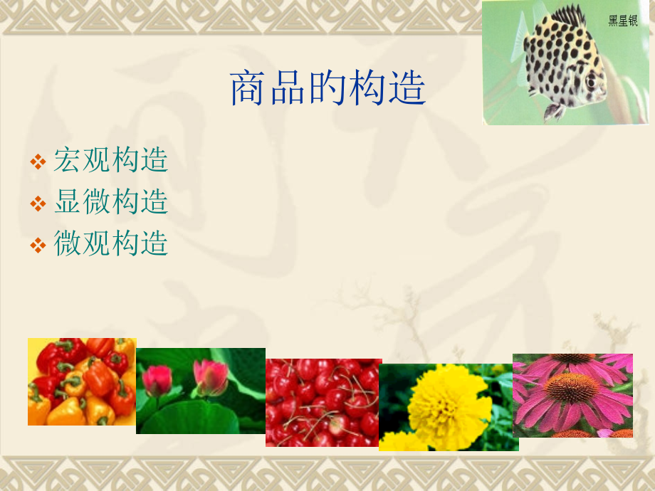 模块二商品的成分结构和性质.pptx_第2页