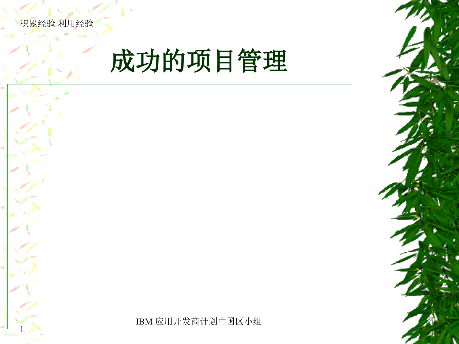 成功的项目管理知识讲解.ppt_第1页