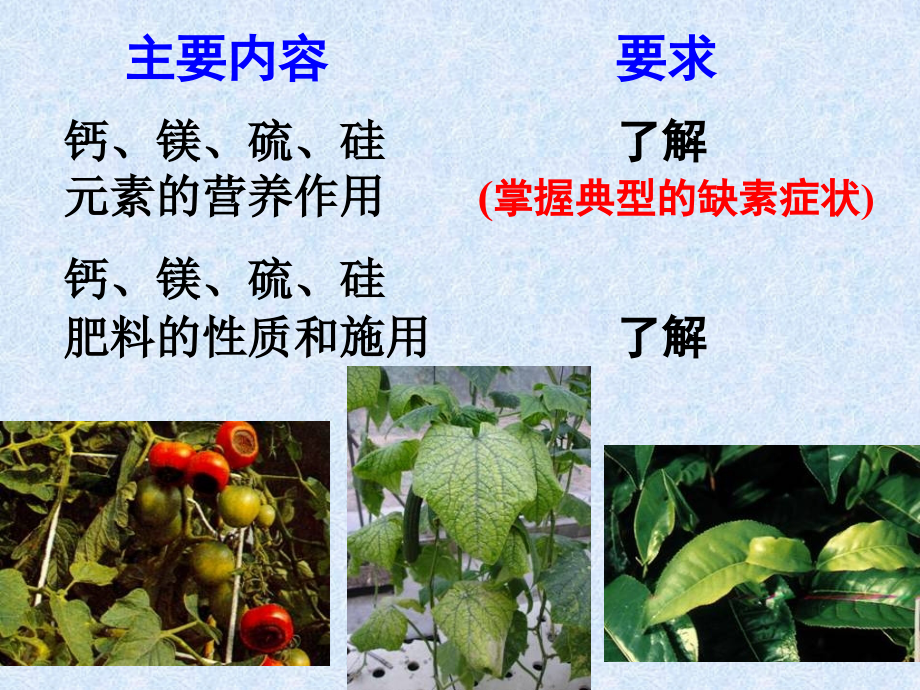 第五章CaMgSSip知识分享.ppt_第2页