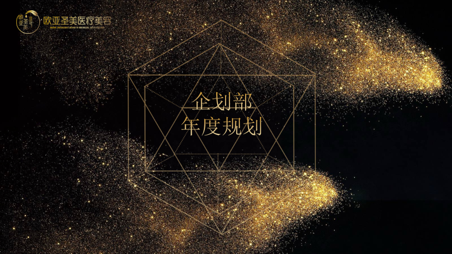 欧亚圣美医美年度企划方案.pptx_第1页