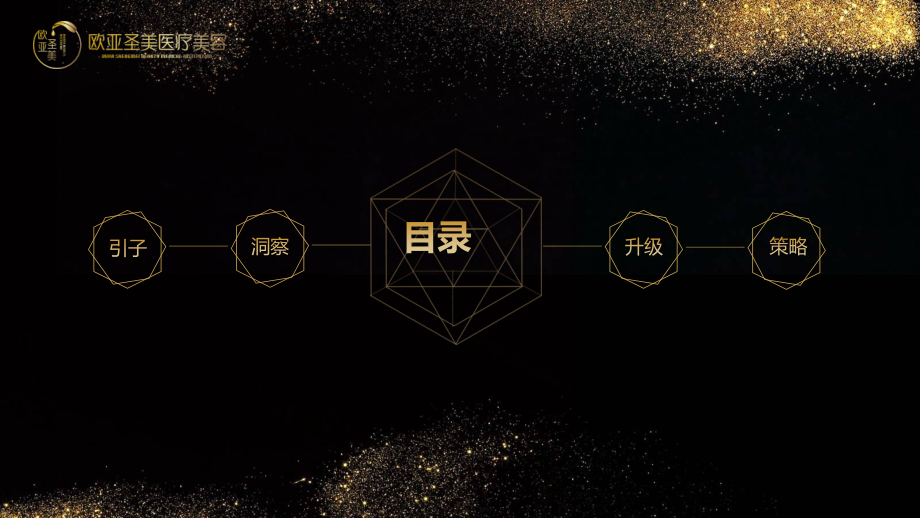 欧亚圣美医美年度企划方案.pptx_第2页