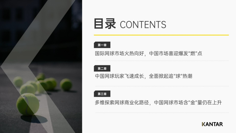 2025年解码网球人群与市场机遇.pptx_第2页