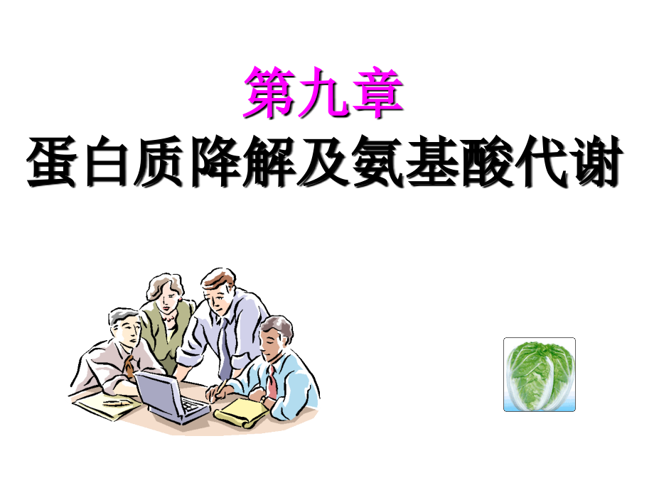 第9章蛋白质降解及氨基酸代谢教学幻灯片.ppt_第1页