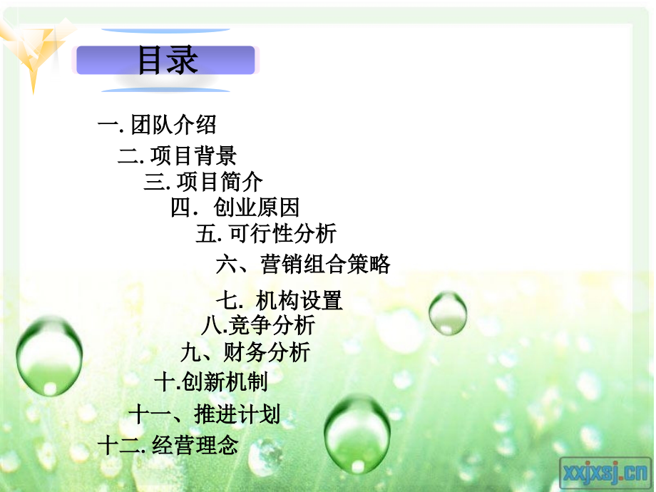 大学生创业设计大赛修改版知识讲解.ppt_第2页