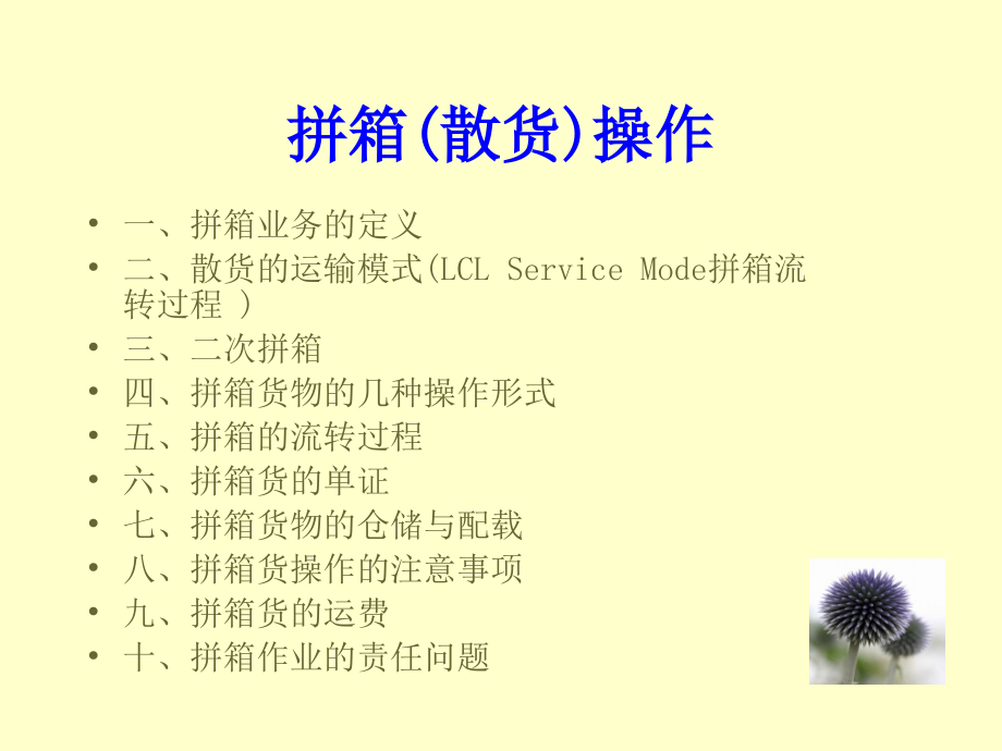 深圳市外代国际货运有限公司海运拼箱专题2教案资料.ppt_第2页