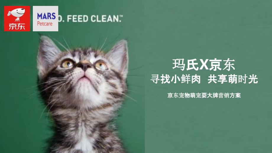 京东玛氏宠物耍大牌营销方案.pptx_第1页