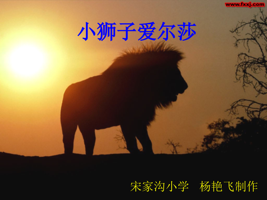 《小狮子爱尔莎》课件2知识讲解.ppt_第1页