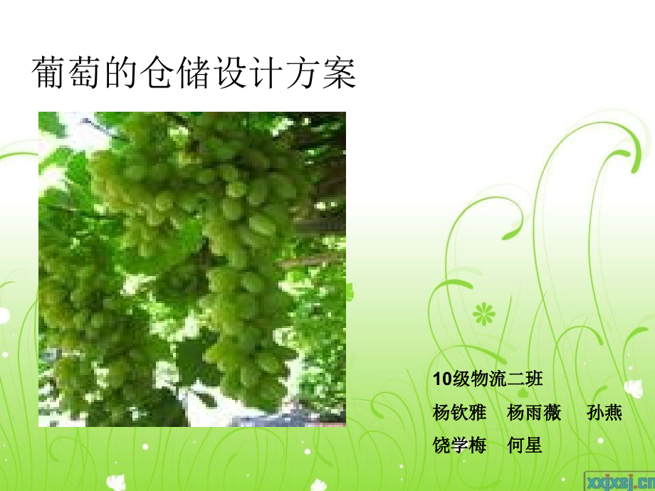葡萄的仓储课件学习资料.ppt_第1页
