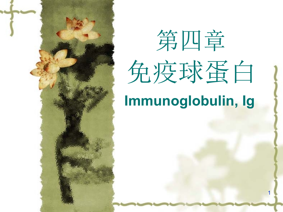 第四章-C4免疫球蛋白培训课件.ppt_第1页
