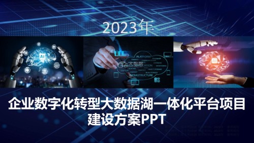 2023企业数字化转型大数据湖一体化平台项目建设方案.pptx