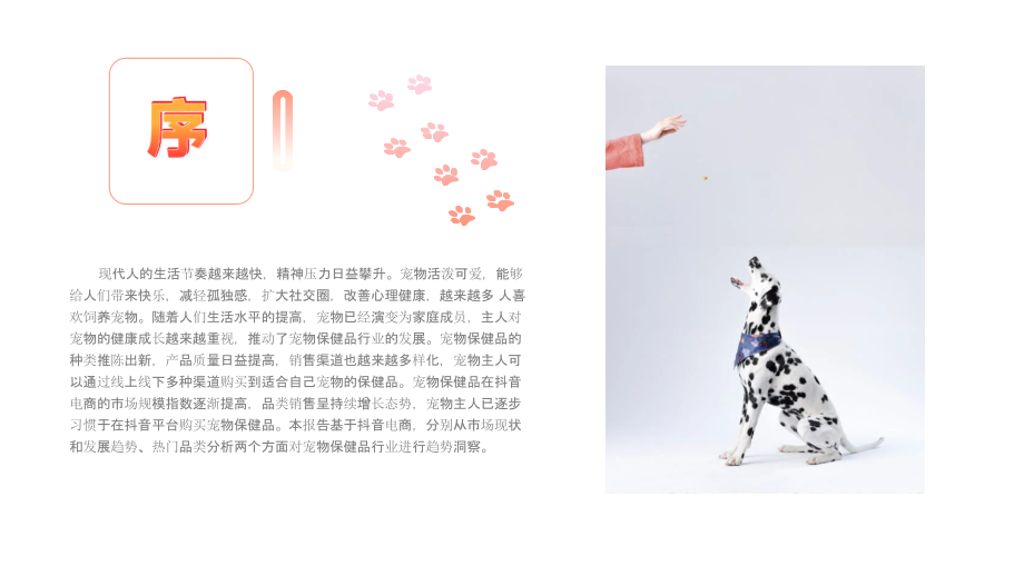 2025年抖音电商行业分析报告：宠物保健品.pptx_第2页
