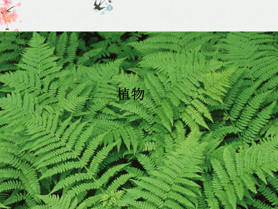 教科版科学三年级上册全册课件.ppt_第2页