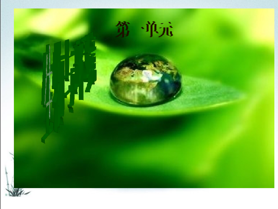 教科版五年级科学上册全册课件【审定版】.pptx_第2页
