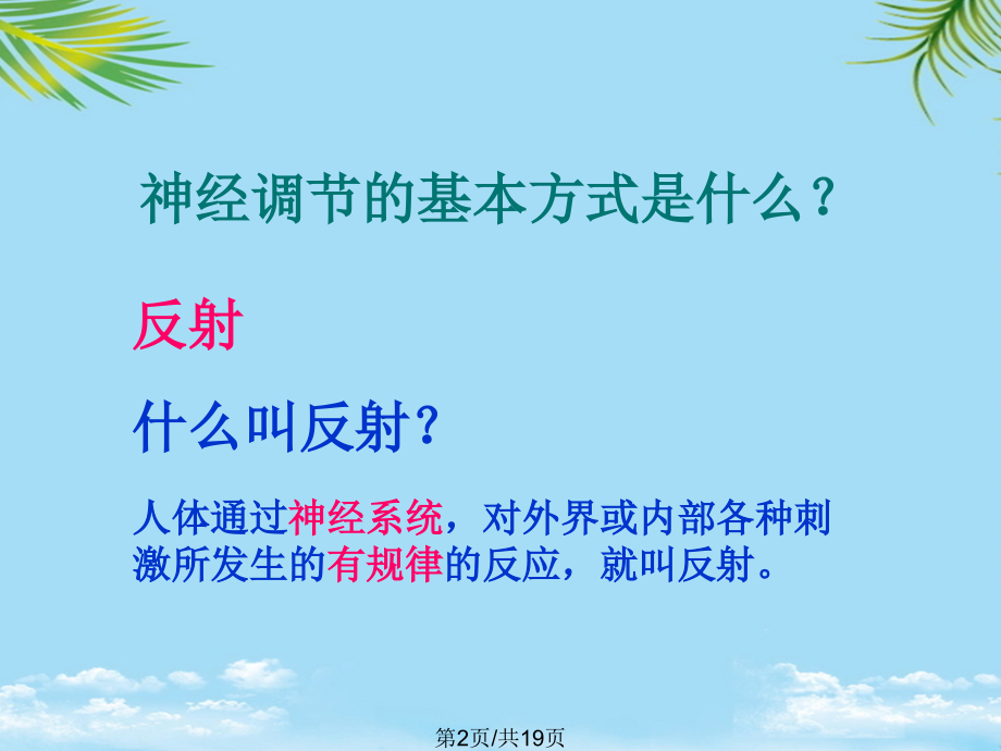 生物：神经调节的基本方式(济南版七年级下.pptx_第2页