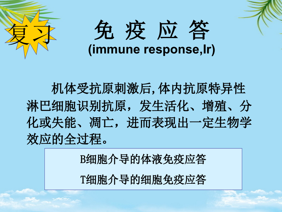适应性免疫应答的特点.ppt_第2页