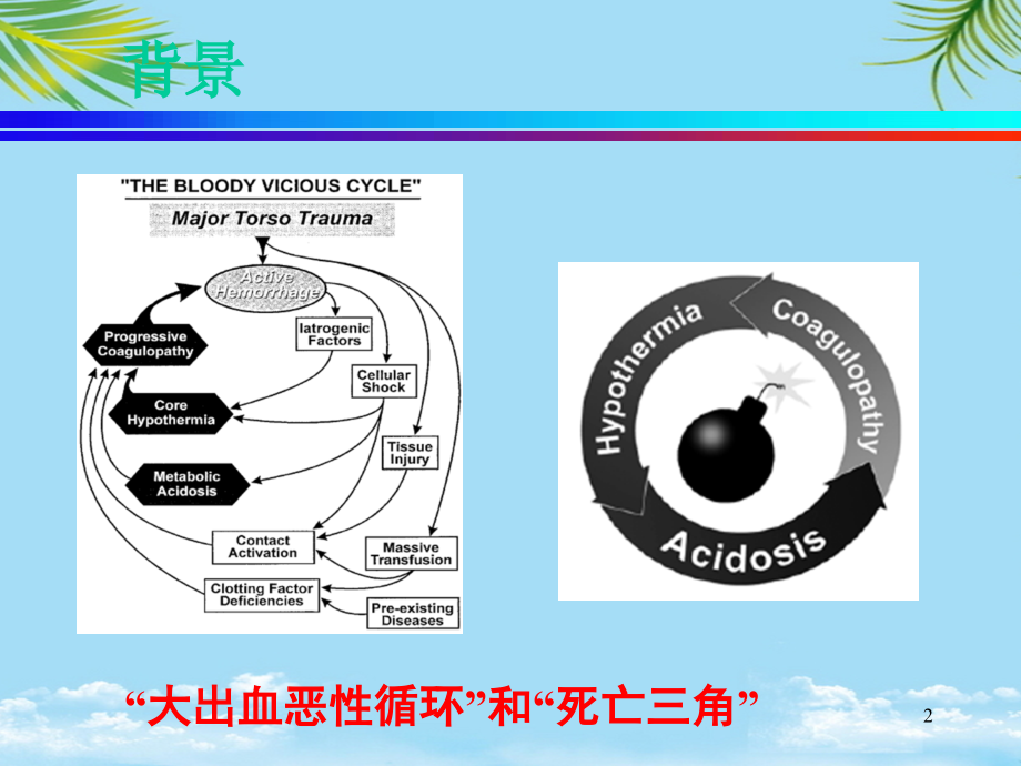 损伤控制.ppt_第2页
