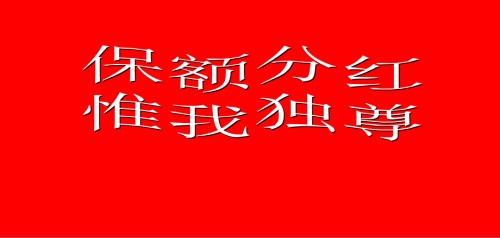 新华人寿分红险基础知识.ppt