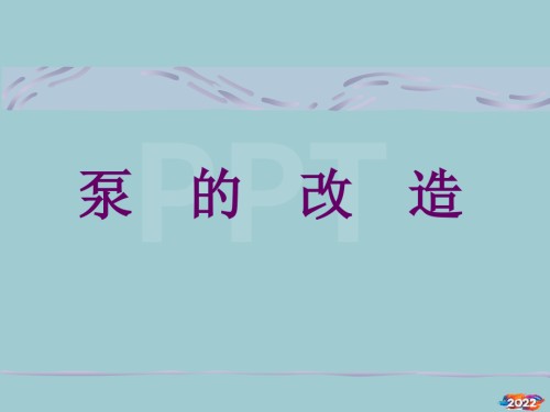 泵的改造技术标准培训教材.pptx