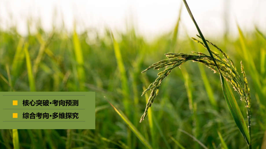 高考二轮专题复习专题农业区位与区域农业的可持续发展.pptx_第2页