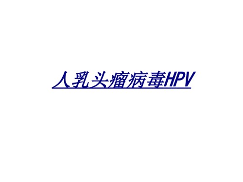 医学人乳头瘤病毒HPV.ppt