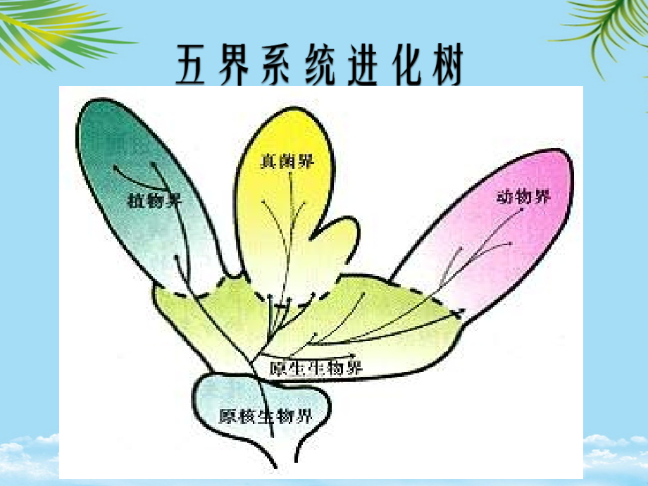 北师大-原生生物的主要类群.ppt_第1页