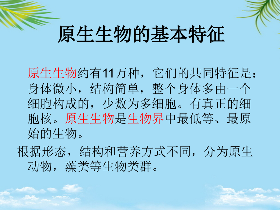 北师大-原生生物的主要类群.ppt_第2页