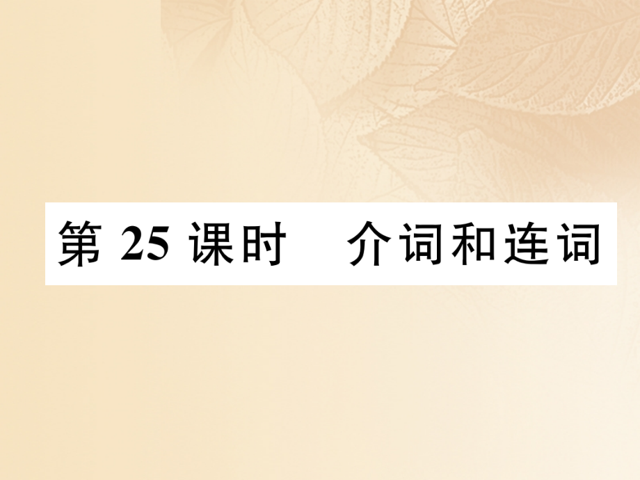 2019届浙江专版中考英语特训总复习第二部分语法专题突破篇第25课时介词和连词精练讲义.ppt_第1页