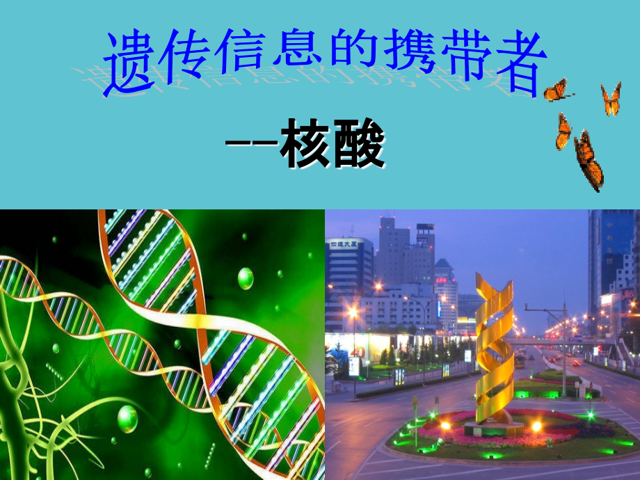 高中生物---遗传信息携带者核酸.ppt_第2页