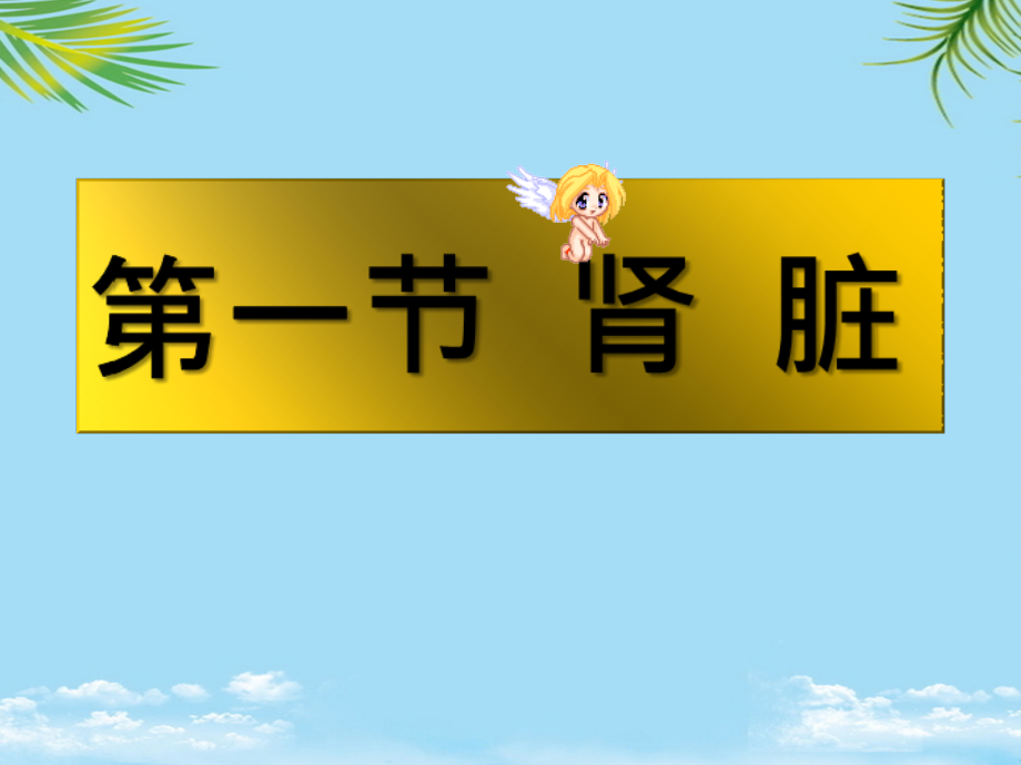 超声诊断学--肾脏解剖、肾积水、肾囊肿.ppt_第2页