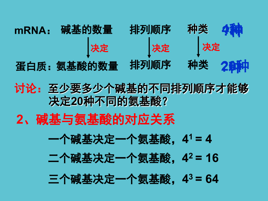 高中生物必修二翻译.ppt_第2页