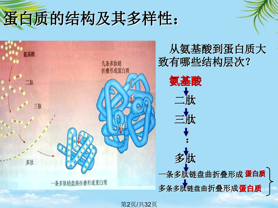 生命活动的主要承担者——蛋白质第二节.pptx_第2页