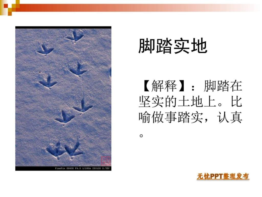 脚踏实地图文.ppt_第2页