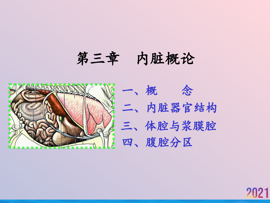 畜禽解剖学内脏概论裴占阳.ppt_第2页