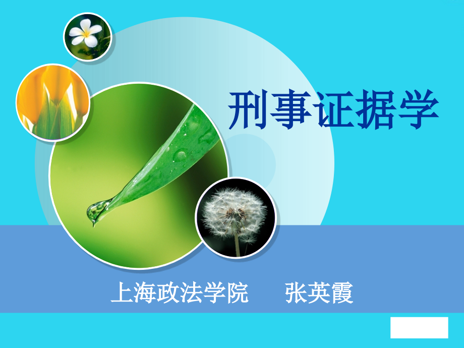 刑事证据学【-ppt】.ppt_第1页