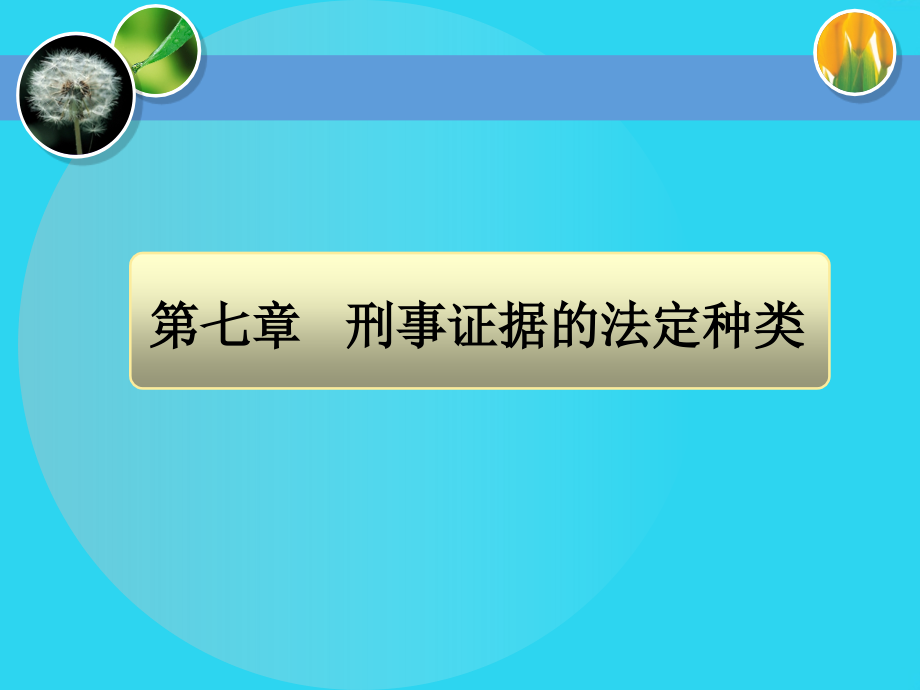 刑事证据学【-ppt】.ppt_第2页