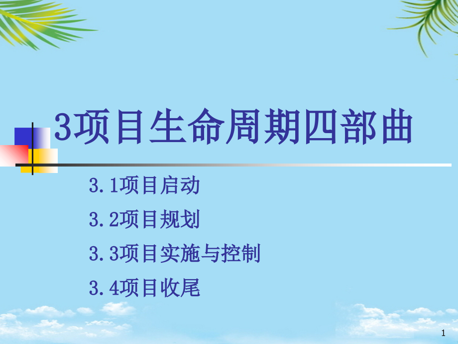 项目管理启动与可研.ppt_第1页