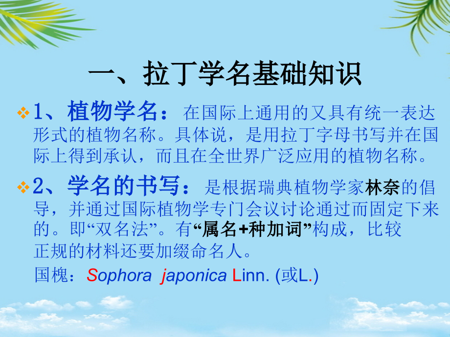 园林树木学.ppt_第2页