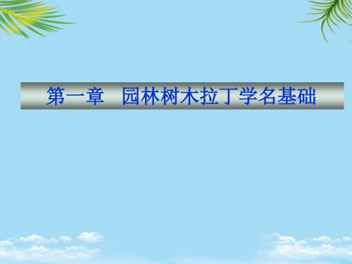 园林树木学.ppt