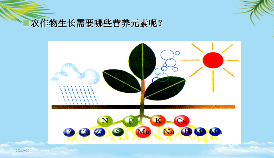化学肥料中学课件.ppt_第2页