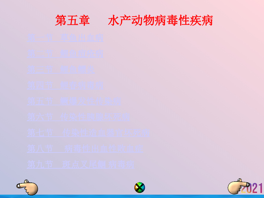 水产动物病毒性疾病.ppt_第2页