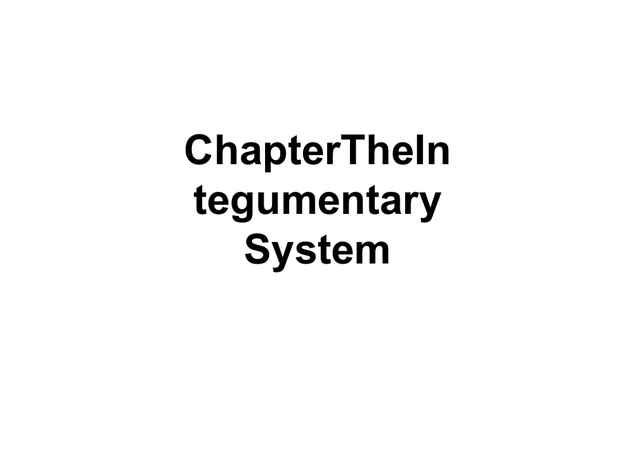 【课件】ChapterTheIntegumentarySystem.ppt_第1页