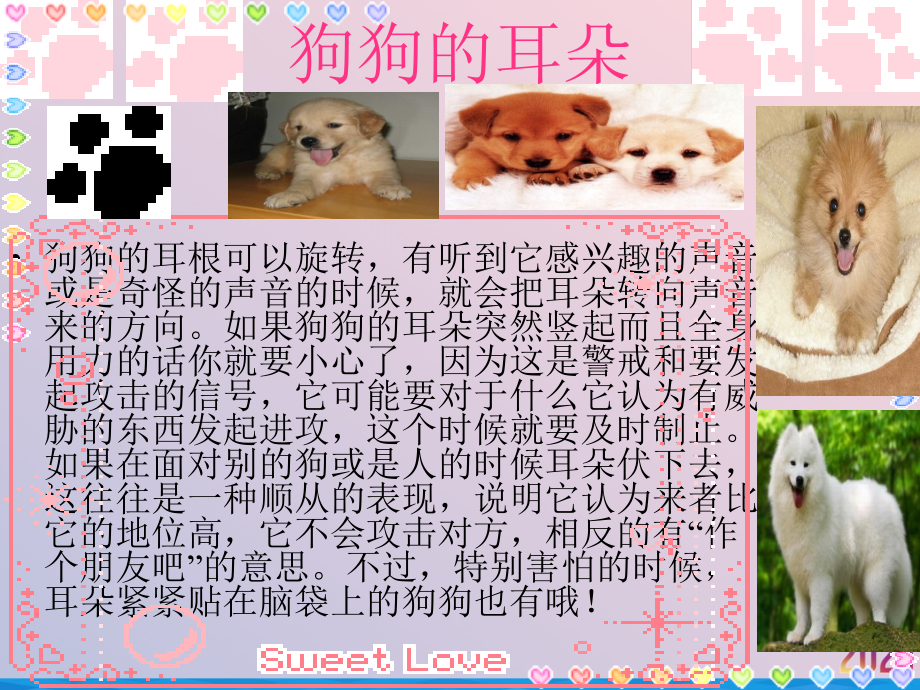 狗狗的肢体语言.ppt_第2页