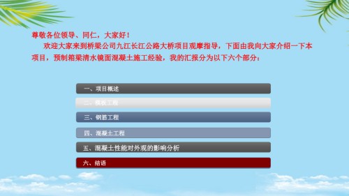 预制箱梁混凝土外观创优技术交流材.pptx